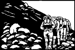 ���n�O�R�c��